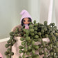 Miniature fairy garden gnomes